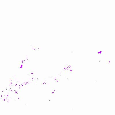 Export Image