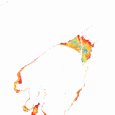 Export Image