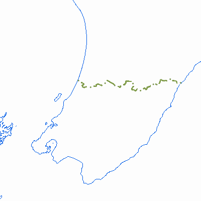 Export Image